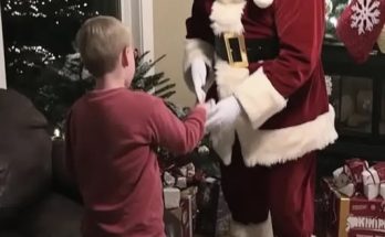 I Hired a Man to Wish My Son a Merry Christmas as Santa Claus and I Noticed He Had the Same Birthmark as My Son