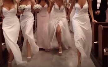 ‘Gotcha!’ 5 Women in Wedding Dresses Halted Our Ceremony and Turned To My Fiancé – Story of the Day