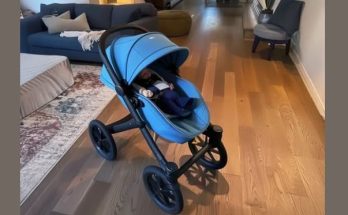 My MIL Threw Away a Stroller I Bought for My Newborn Son — I Burst into Tears When I Found Out Why