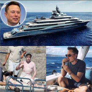 Elon Musk’s Tesla Super Yacht, Valued At Around 91 Million Usd, Has All The Most Opulent Luxuries.