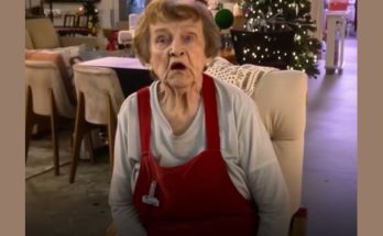 Elderly Woman Celebrates Christmas Alone after Her Children Find Out She Is a Cleaner – Story of the Day