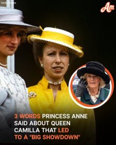 Three Words Princess Anne Said About Camilla Becoming Queen — How Has Their Relationship Evolved?