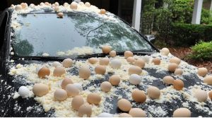 My Neighbor Threw Eggs at My Car Because It Was 'Blocking the View' of His Halloween Decorations