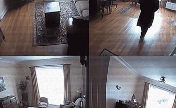 I Noticed Things Disappearing from My Sick Mother’s House, so I Installed Hidden Cameras and What I Saw Shocked Me — Story of the Day