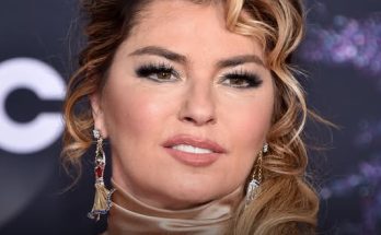 Fans React to Shania Twain, 59, Wearing a 'Diaper' During Her Recent Performance - Photos