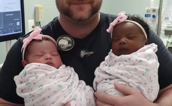 I Went to Pick Up My Wife and Newborn Twins from the Hospital — I Found Only the Babies and a Note