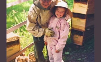 I Was Upset That My Grandfather Only Left Me an Old Apiary until I Looked into the Beehives — Story of the Day