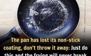 The pan has lost its non-stick coating, don't throw it away