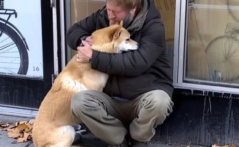 Dog Goes to Closed Store Daily then Leaves, One Evening Poor Boy Notices and Follows It — Story of the Day