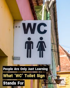 People Were Left Stunned After Finally Learning What ‘WC’ Toilet Sign Stands For