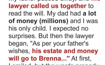 I Planned to Reclaim My Father’s Inheritance That Was Left to a Stranger Until a Family Secret Changed Everything — Story of the Day