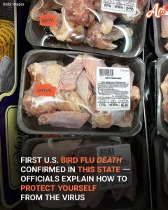 USA's First H5N1 Bird Flu Death Confirmed — Here's What to Do to Stay Safe from the Virus