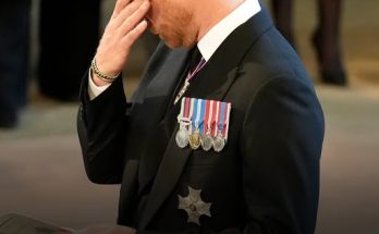 'In Memory of Guy': Prince Harry's Wife Meghan Mourns the Death of Her Beloved Adopted Pet — Users Send Prayers