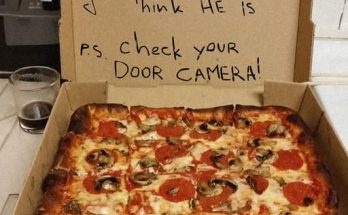 Delivery Guy Left a Message for Me on a Pizza Box — Turns Out, He Saved Me from a Disastrous Marriage