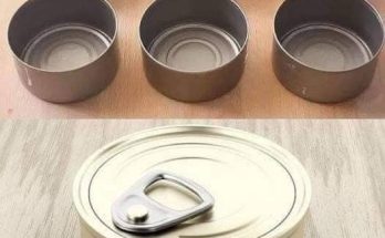 Don’t throw away tuna cans, at home they are worth their weight in gold: how to reuse them