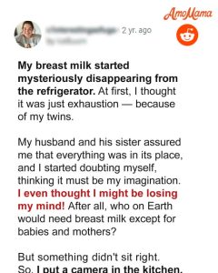 My Breast Milk Kept Disappearing from the Refrigerator – So I Hid a Baby Monitor in the Kitchen and Was Shocked to the Core