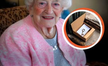 Old Lonely Lady Receives Deliveries from Unknown Person Every Day, the Last Was a New Home – Story of the Day