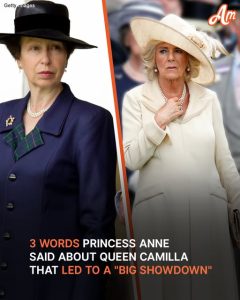 Three Words Princess Anne Said About Camilla Becoming Queen — How Has Their Relationship Evolved?