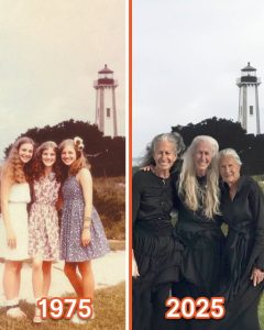 Three Women in Their Golden Years Set Off on a Journey to Fulfill Their Wildest Dreams – Story of the Day