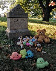 Every Day after 21-Year-Old Son's Death, Grieving Mom Finds Baby Toys on His Grave — Story of the Day