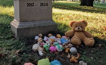 Every Day after 21-Year-Old Son's Death, Grieving Mom Finds Baby Toys on His Grave — Story of the Day