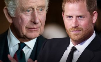 Prince Harry’s Bold Statement That Infuriated King Charles & Brother William Deleted from Royal Family's Website