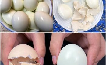 Perfect Boiled Eggs: A Simple Guide to Getting It Right