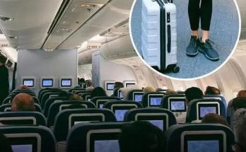 Flight Expert Explains Why You Should Never Wear Leggings On A Plane