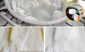 Simple and Eco-Friendly Tips to Keep Your Clothes White and Bright