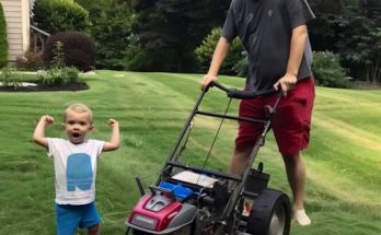 Single Dad Helps Older Woman Mow Her Lawn, Soon Gets a Call from Her Lawyer — Story of the Day