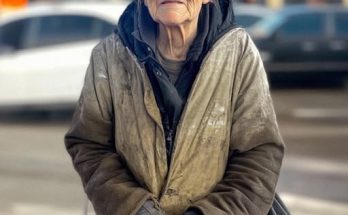 Elderly Homeless Woman Begged Me to Drive Her to Church — Three Days Later, She Knocked on My Door in a Luxury Coat
