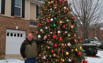 My Landlord Stole My Beautiful Christmas Tree and My Payback Was Harsh