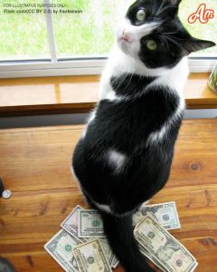 Older Lady Finds Money on Floor Every Day, Sees Her Cat Bring It and Follows Him – Story of the Day