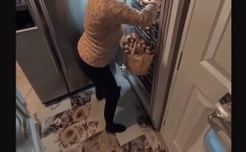 My MIL Stole Eggs from My Fridge — What Else I Caught on the Hidden Camera Made My Blood Run Cold