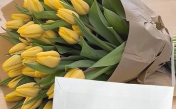 My Husband Neglected Me and I Was Miserable, Until a Secret Admirer Made Me Feel Wanted Again — Story of the Day