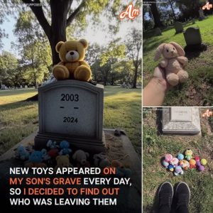 Every Day after 21-Year-Old Son's Death, Grieving Mom Finds Baby Toys on His Grave — Story of the Day