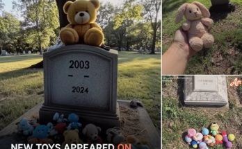 Every Day after 21-Year-Old Son's Death, Grieving Mom Finds Baby Toys on His Grave — Story of the Day