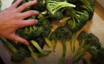 Recalled Broccoli Threatens 20 States as FDA Raises Risk to Highest Level