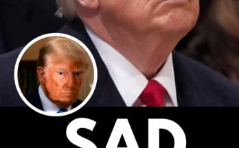 Security expert speaks out on sinister ‘poison’ claims after Donald Trump is hi:t in the face by microphone