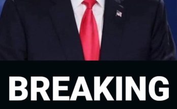 Donald Trump has seven-word response to being hit in the face with boom mic during awkward interview
