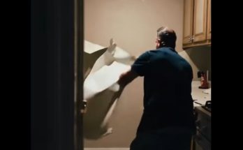My Ex-husband Ripped off the Wallpaper After Our Divorce Because 'He Paid for It' – Karma Had a Joke in Store for Him