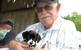 Abandoned Puppy Becomes the Angel a Grieving Old Man Prayed For