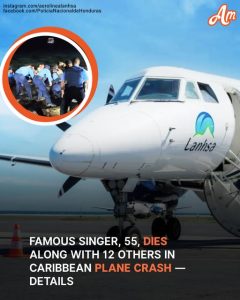 Caribbean Plane Crash Leaves 12 Dead, Including Famous Singer — Details